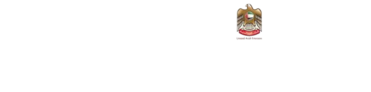 top auditors in dubai